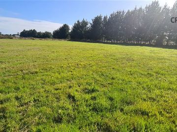 Parcela en Venta en Colonia San Martin
