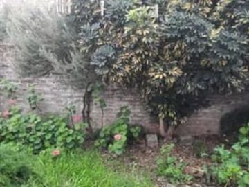 2 casas sobre mismo lote, ideal INVERSOR anticipo del 60 y cuotas