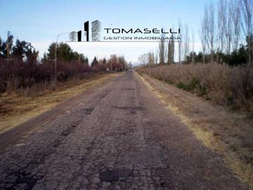 VENTA - FINCA CON CASA Y PLANTACION- RAMA CAIDA - MENDOZA