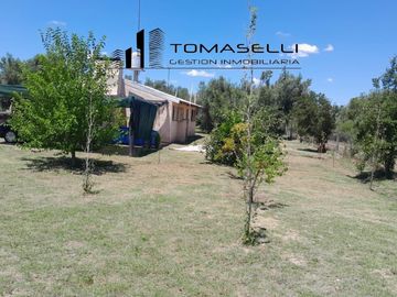 VENTA - FINCA CON CASA Y PLANTACION- RAMA CAIDA - MENDOZA