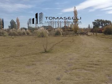 VENTA - FINCA CON CASA Y PLANTACION- RAMA CAIDA - MENDOZA