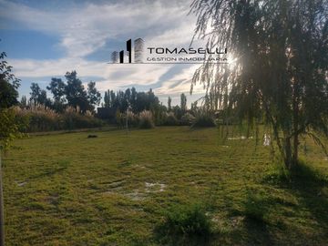 VENTA - FINCA CON CASA Y PLANTACION- RAMA CAIDA - MENDOZA