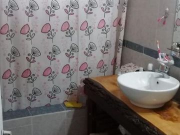 VENTA - FINCA CON CASA Y PLANTACION- RAMA CAIDA - MENDOZA