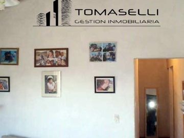 VENTA - FINCA CON CASA Y PLANTACION- RAMA CAIDA - MENDOZA