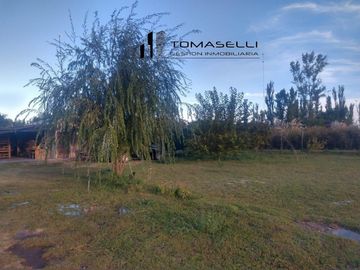 VENTA - FINCA CON CASA Y PLANTACION- RAMA CAIDA - MENDOZA