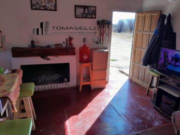 VENTA - FINCA CON CASA Y PLANTACION- RAMA CAIDA - MENDOZA