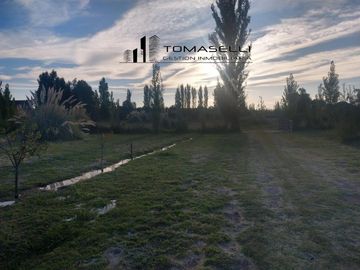 VENTA - FINCA CON CASA Y PLANTACION- RAMA CAIDA - MENDOZA