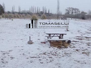 VENTA - FINCA CON CASA Y PLANTACION- RAMA CAIDA - MENDOZA