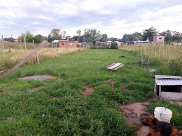 Casa con amplio terreno en Ingeniero Allan, Varela