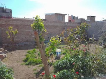 BARRIO CONDOR Y ANDES