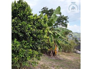 ref 859a lago calima/ vendo casa campestre