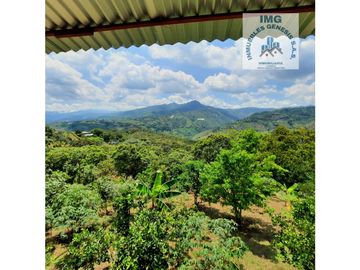 ref 905a borrero Ayerbe/ vendo casa campestre