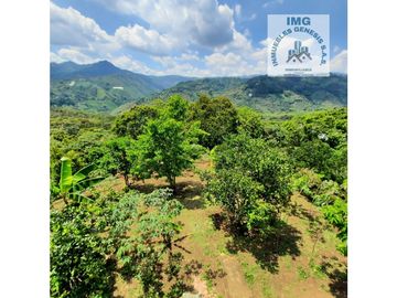 ref 905a borrero Ayerbe/ vendo casa campestre