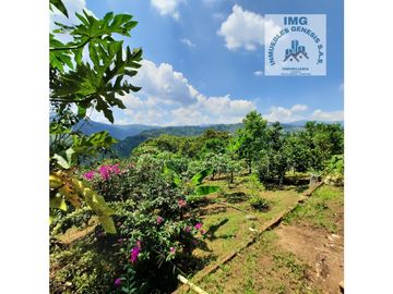 ref 905a borrero Ayerbe/ vendo casa campestre