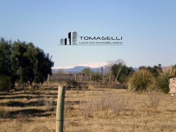 VENTA - FINCA CON CASA Y PLANTACION- RAMA CAIDA - MENDOZA