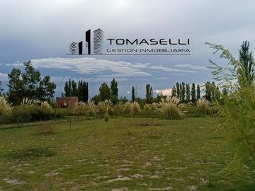 VENTA - FINCA CON CASA Y PLANTACION- RAMA CAIDA - MENDOZA