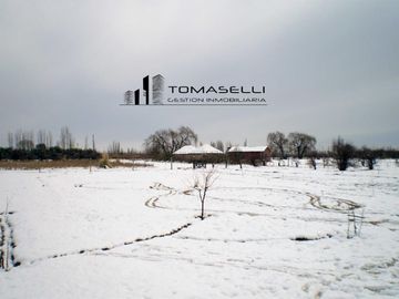 VENTA - FINCA CON CASA Y PLANTACION- RAMA CAIDA - MENDOZA