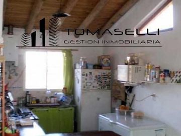 VENTA - FINCA CON CASA Y PLANTACION- RAMA CAIDA - MENDOZA