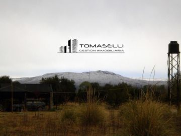 VENTA - FINCA CON CASA Y PLANTACION- RAMA CAIDA - MENDOZA