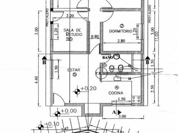 VENTA - FINCA CON CASA Y PLANTACION- RAMA CAIDA - MENDOZA