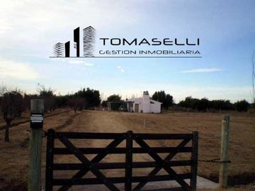 VENTA - FINCA CON CASA Y PLANTACION- RAMA CAIDA - MENDOZA