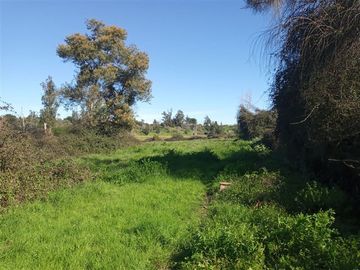 Parcela en Venta en Camino a San Antonio