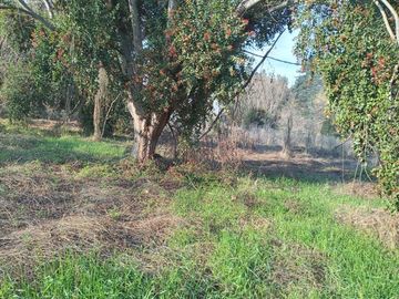 Parcela en Venta en Camino a San Antonio