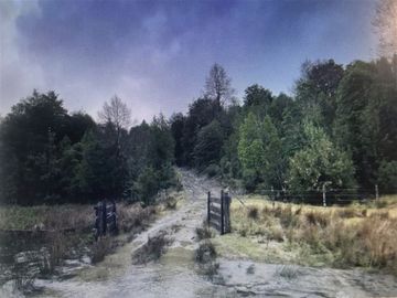 Agrícola en Venta en Parque Nacional Alerce Costero