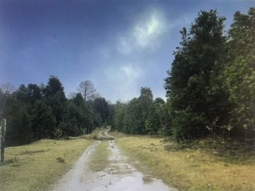 Agrícola en Venta en Parque Nacional Alerce Costero