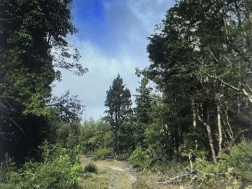 Agrícola en Venta en Parque Nacional Alerce Costero