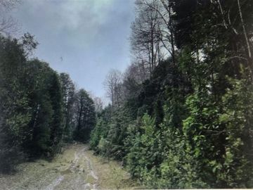 Agrícola en Venta en Parque Nacional Alerce Costero