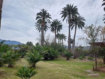 Sitio en Venta en SECTOR EL CUARZO/ OCOA