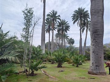 Sitio en Venta en SECTOR EL CUARZO/ OCOA