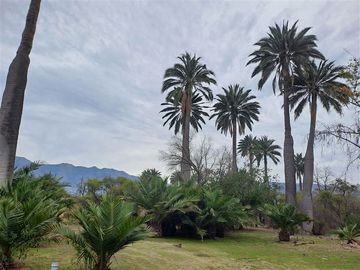 Sitio en Venta en SECTOR EL CUARZO/ OCOA