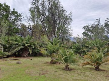 Sitio en Venta en SECTOR EL CUARZO/ OCOA