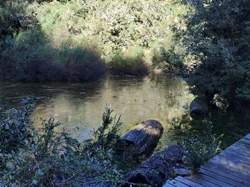 Casa en Venta en LOTEO LOS RENOVALES DE HUILO HUILO / PUERTO FUY - NELTUME