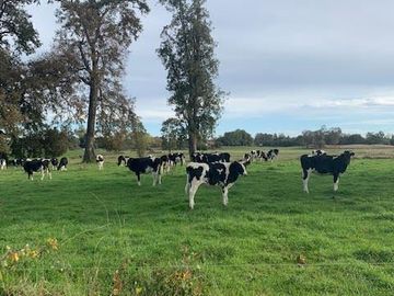Agrícola en Venta en Chahuilco