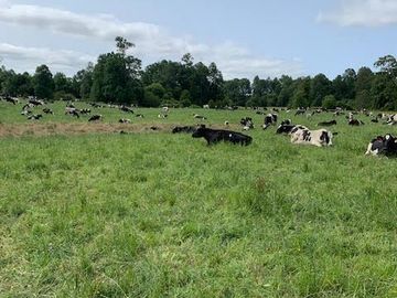 Agrícola en Venta en Chahuilco