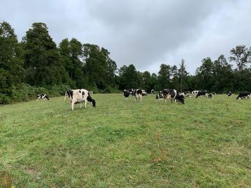 Agrícola en Venta en Chahuilco