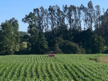 Agrícola en Venta en Chahuilco