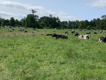 Agrícola en Venta en Chahuilco