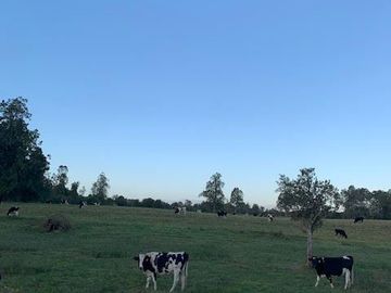 Agrícola en Venta en Chahuilco
