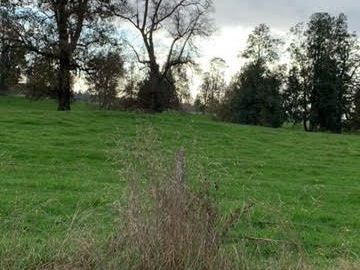 Agrícola en Venta en Chahuilco