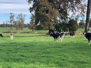 Agrícola en Venta en Chahuilco