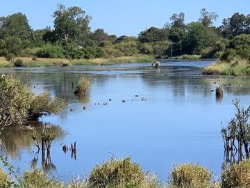 Agrícola en Venta en Chahuilco