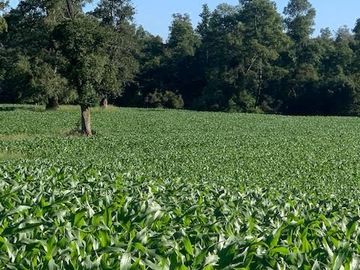 Agrícola en Venta en Chahuilco
