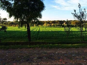 Rancho  venta, carretera Dolores a Rio Laja  Dolores Hgo.Gto
