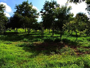 Rancho  venta, carretera Dolores a Rio Laja  Dolores Hgo.Gto