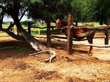 Rancho  venta, carretera Dolores a Rio Laja  Dolores Hgo.Gto