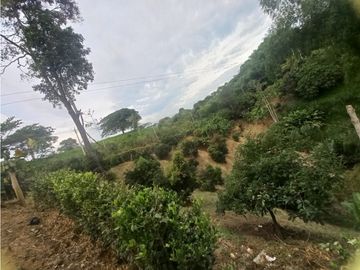 Casa campestre a la venta, Morelia via Alcala, Risaralda